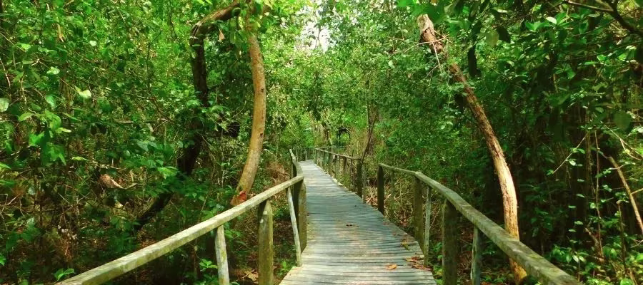 PARC NATIONAL DE CAHUITA