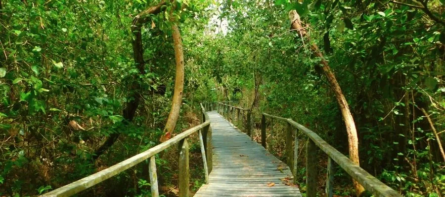 CAHUITA NATIONAL PARK