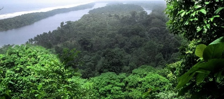 CERRO TORTUGUERO