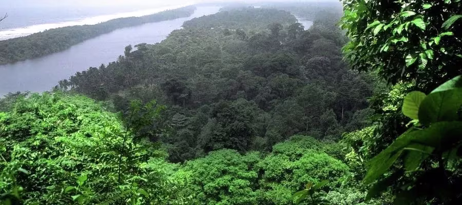 CERRO TORTUGUERO