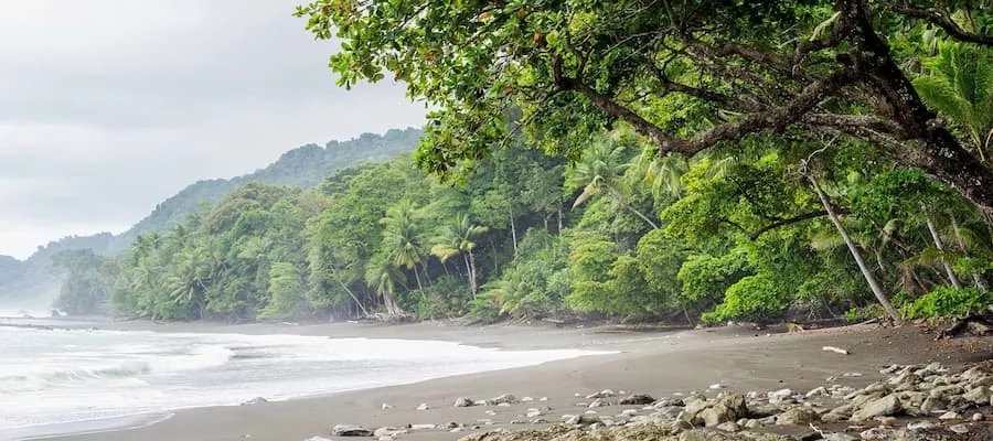  Playa Corcovado