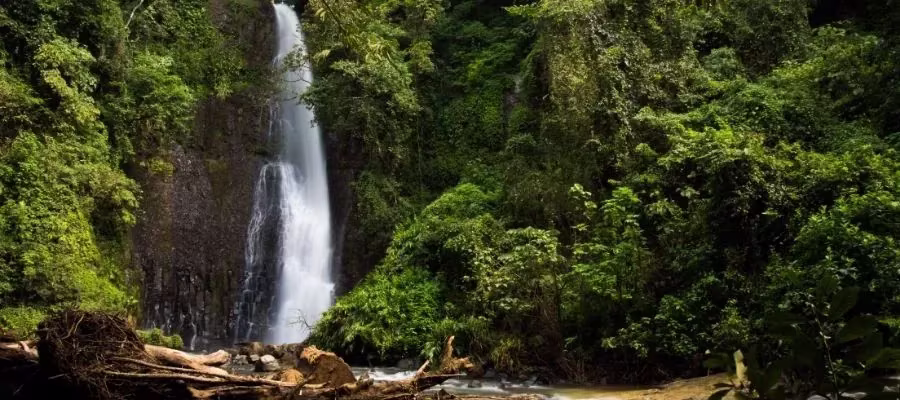 LOS CHORROS WATERFALL
