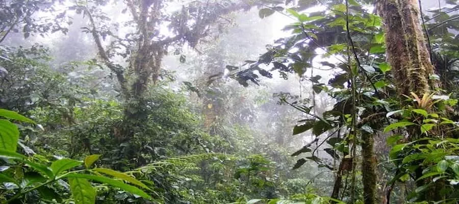 PARC NATIONAL BRAULIO CARRILLO