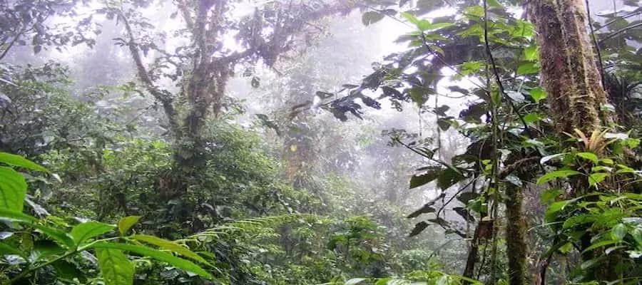 PARC NATIONAL BRAULIO CARRILLO