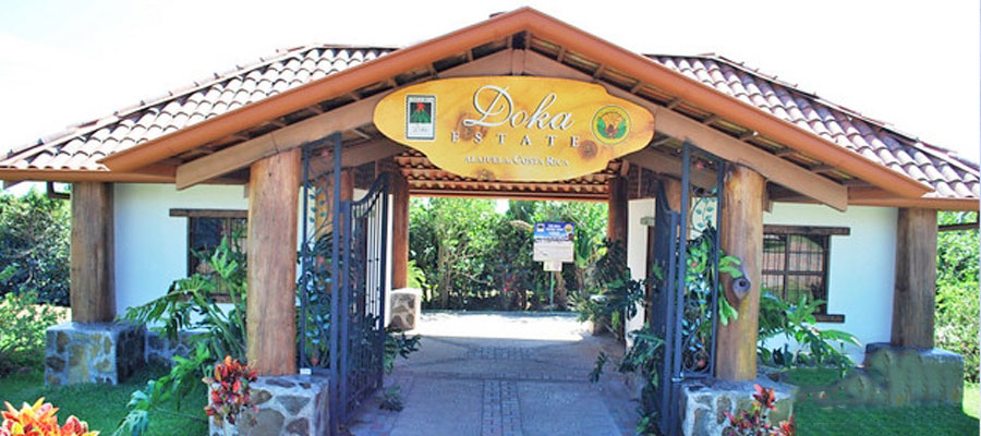 Doka-Estate---Coffee-Tour