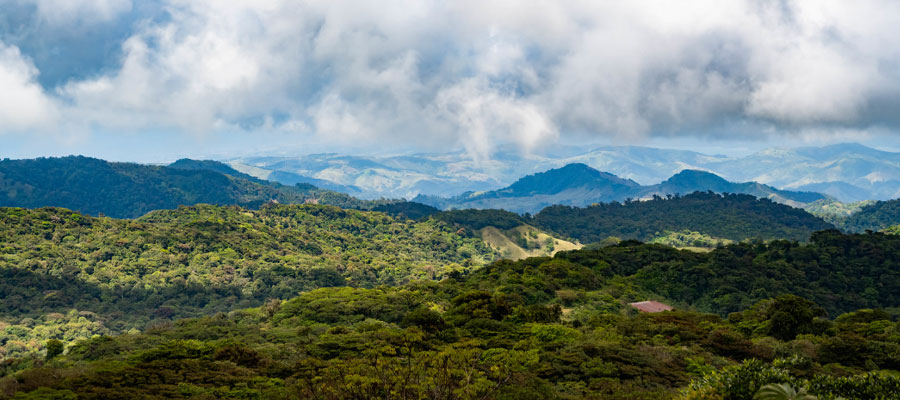 view-of-santa-elena-cloud-forest
