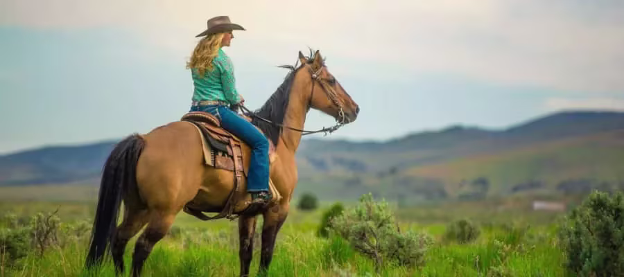 Horseback Riding