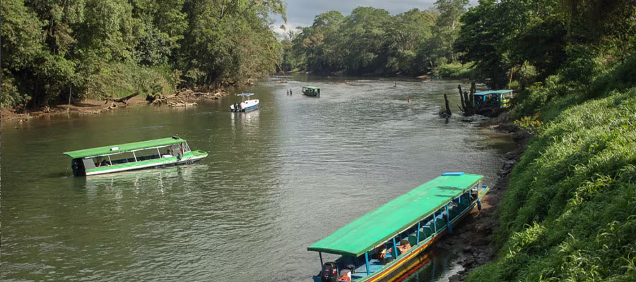 crocodiles-tour-costa-rica