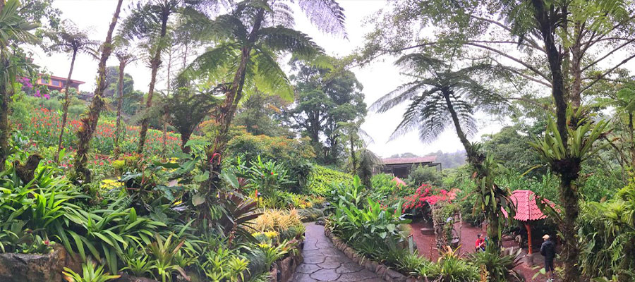 la-paz-waterfall-garden