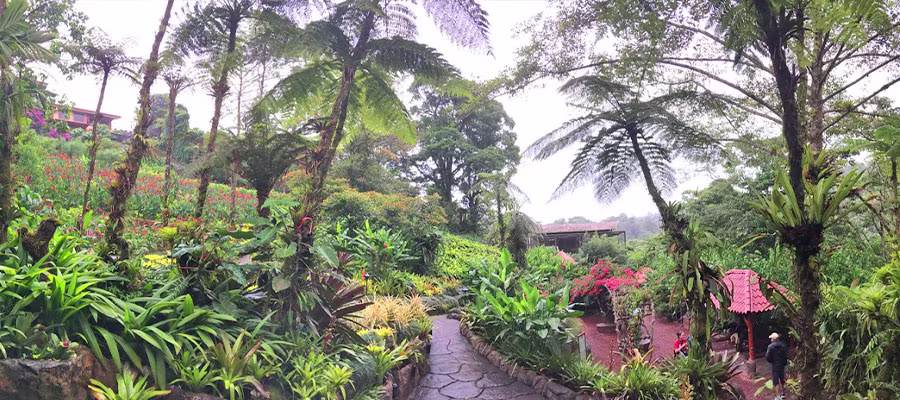 la-paz-waterfall-garden