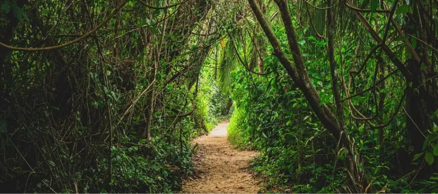  Cahuita National Park in Costa Rica 