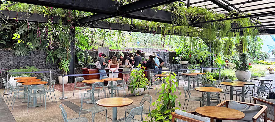 Hacienda-Alsacia-Coffee-Tour