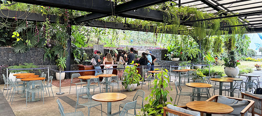 Hacienda-Alsacia-Coffee-Tour