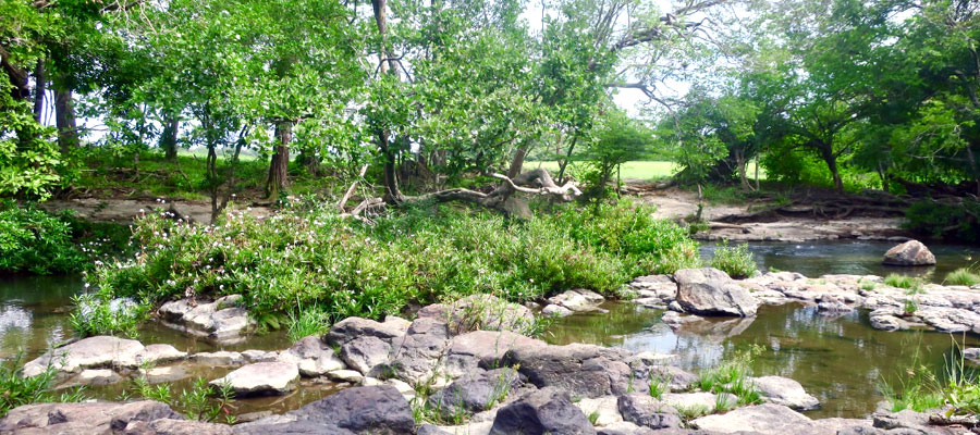 near-llanos-de-cortes-waterfalls