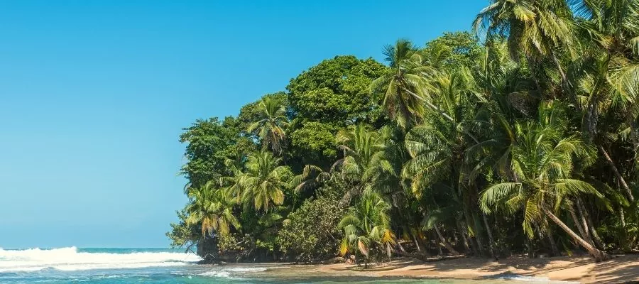 L’ÎLE PUNTA MONA