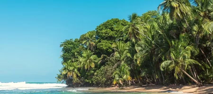 L’ÎLE PUNTA MONA