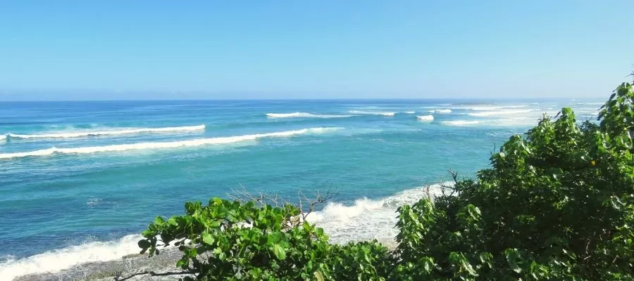 RESERVA NATURAL ABSOLUTA CABO BLANCO