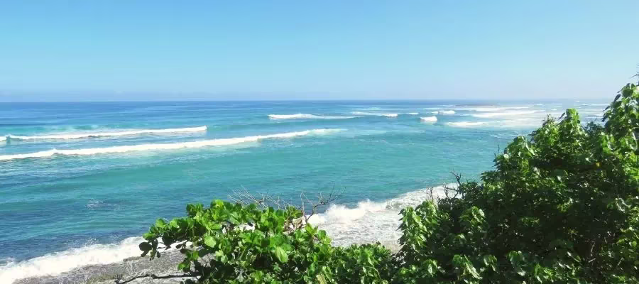 RESERVA NATURAL ABSOLUTA CABO BLANCO