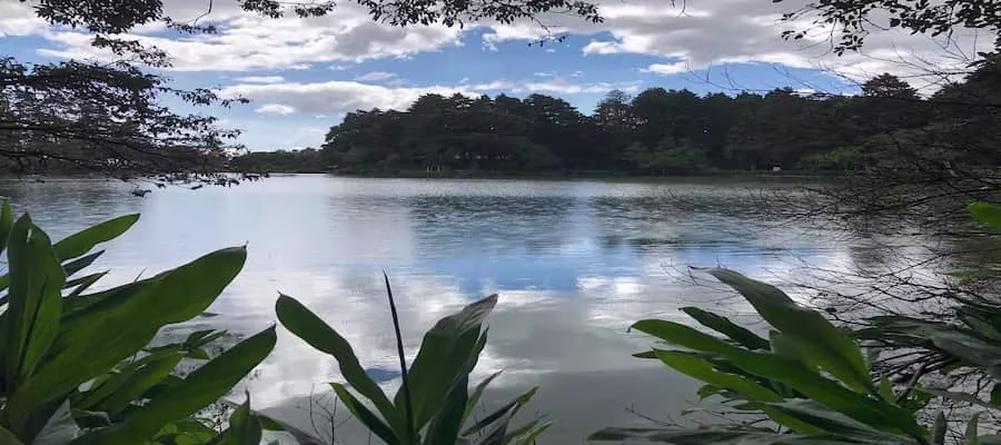BOSQUES DE FRAIJANES