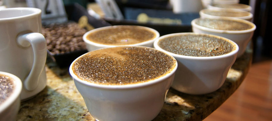 coffee-costa-rica