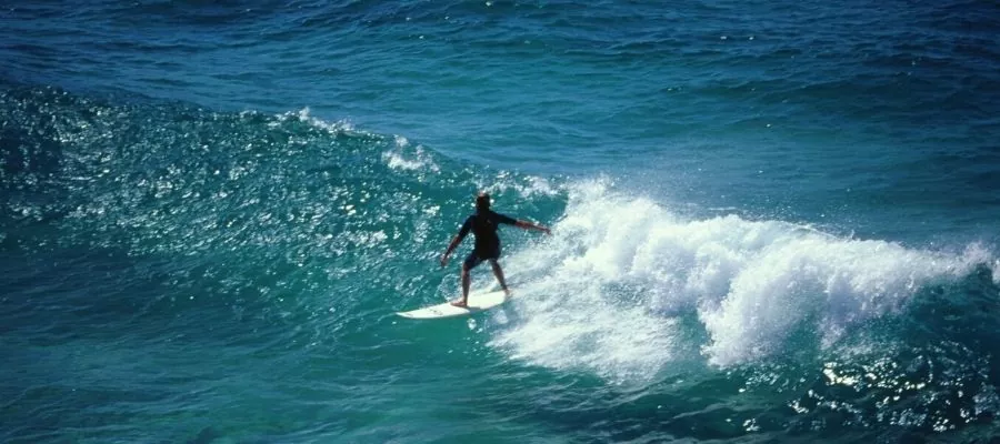 SURF
