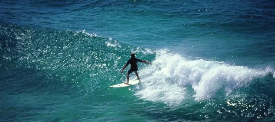 SURF