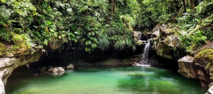 Bassin Paradise Cascade Guadeloupe