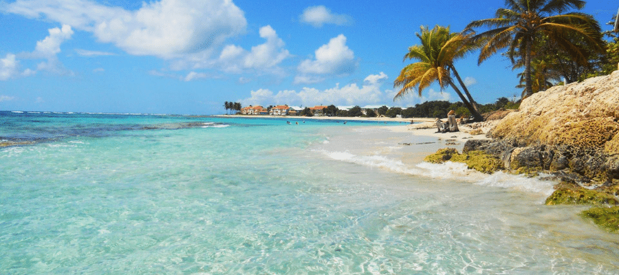 Plage des raisins clairs à Saint-François 