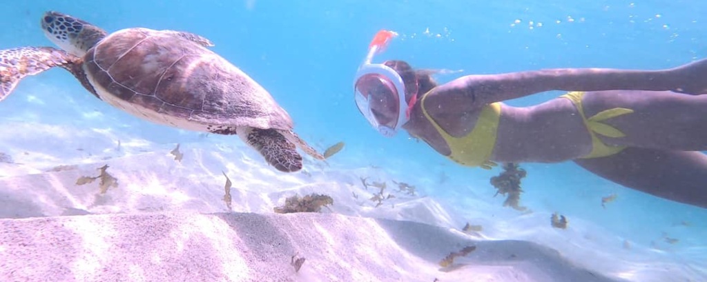 Nager avec les tortues à Petite-Terre - Guadeloupe