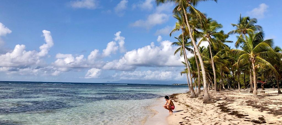 Bois Jolan Plage Guadeloupe