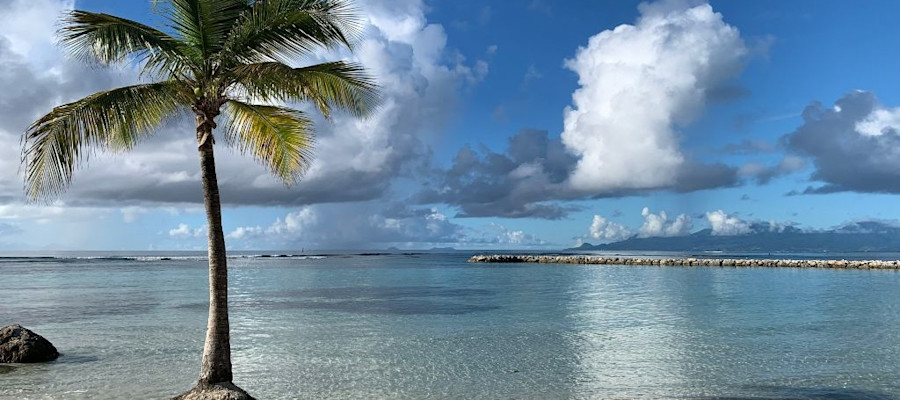 plage-bourg-sainte-anne-guadeloupe