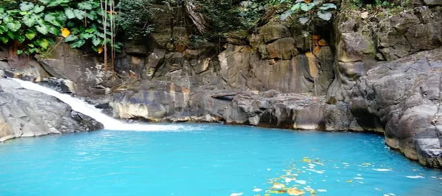 saut acomat guadeloupe - jumbo car Guadeloupe 