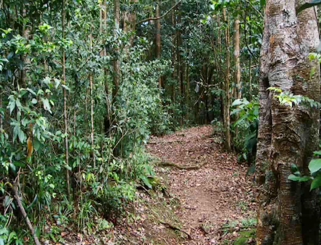 trace des cretes guadeloupe
