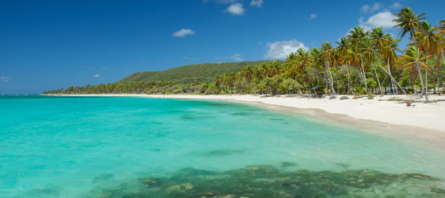Anse Feuillère - Capesterre à Marie Galante