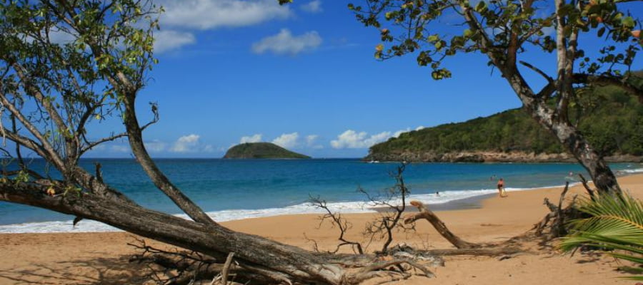 Plage de la Perle à Deshaies 