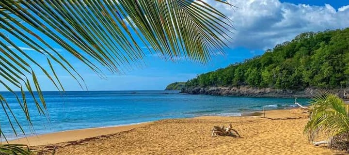 Plage de la Perle - Top Activités Guadeloupe