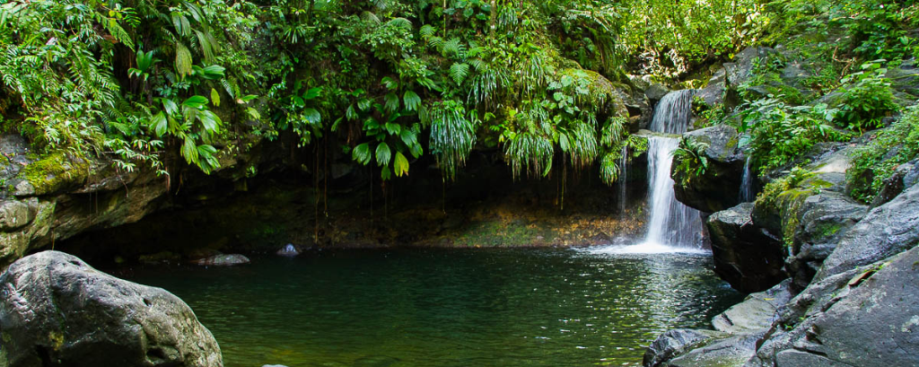 bassin paradis guadeloupe 
