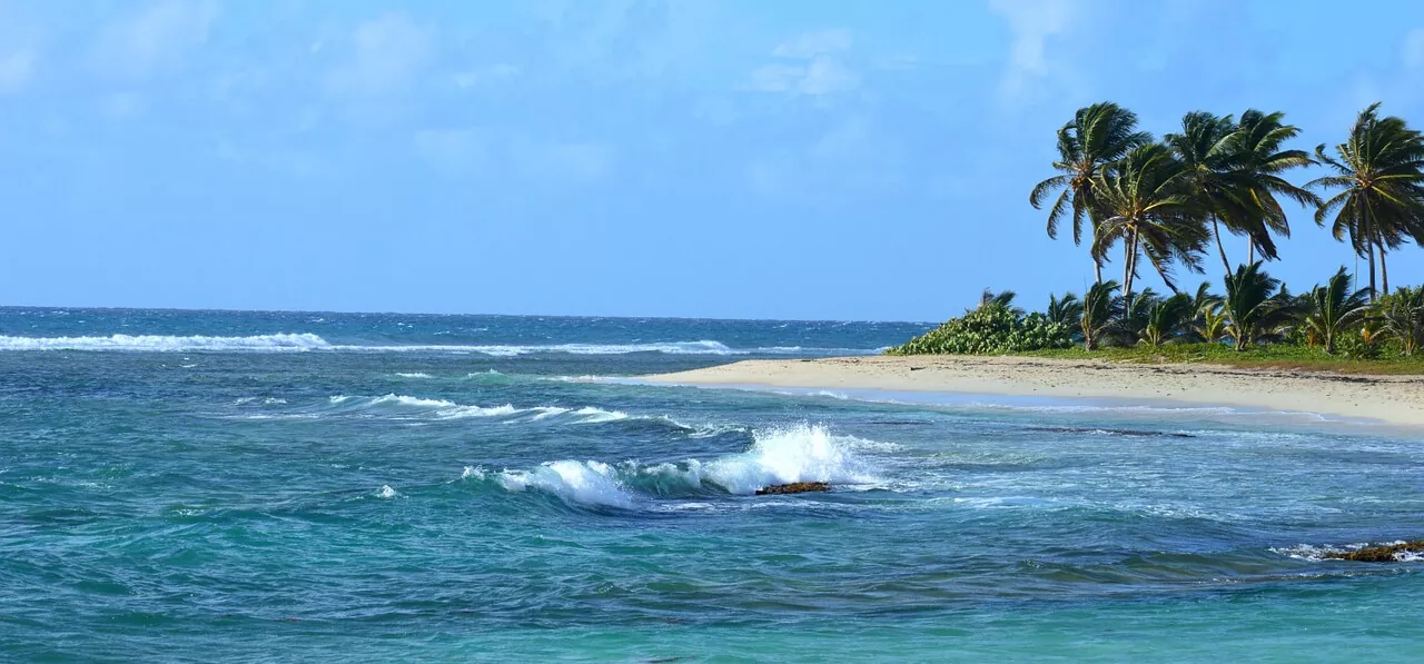 plages guadeloupe internes medecine