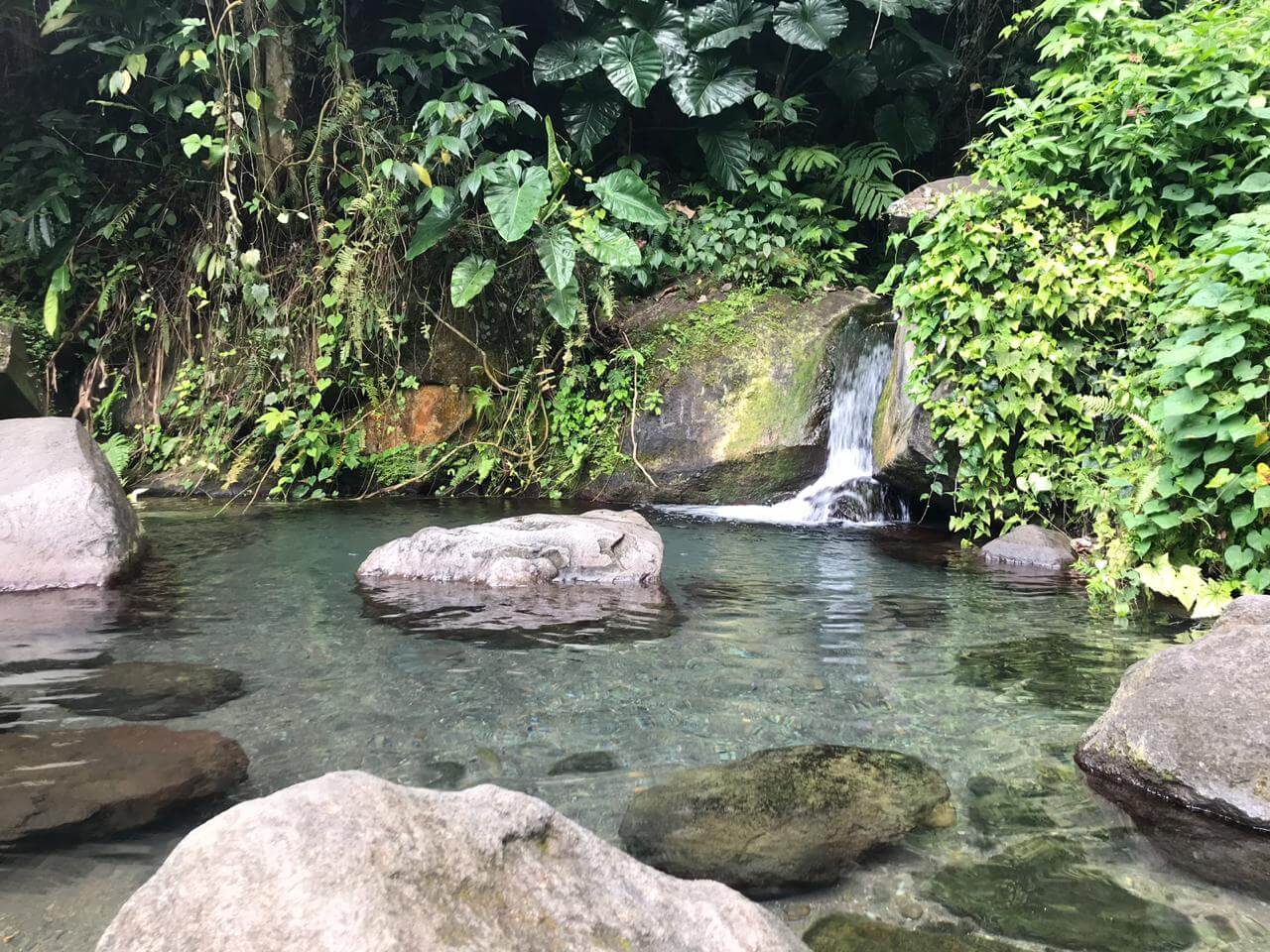 Bain des Amours cascade Guadeloupe