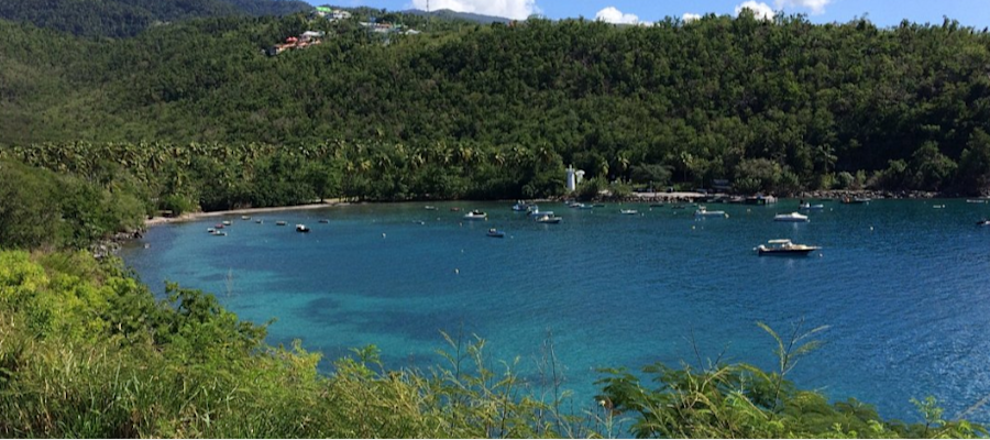 la plage de l’anse à La Barque à Bouillante