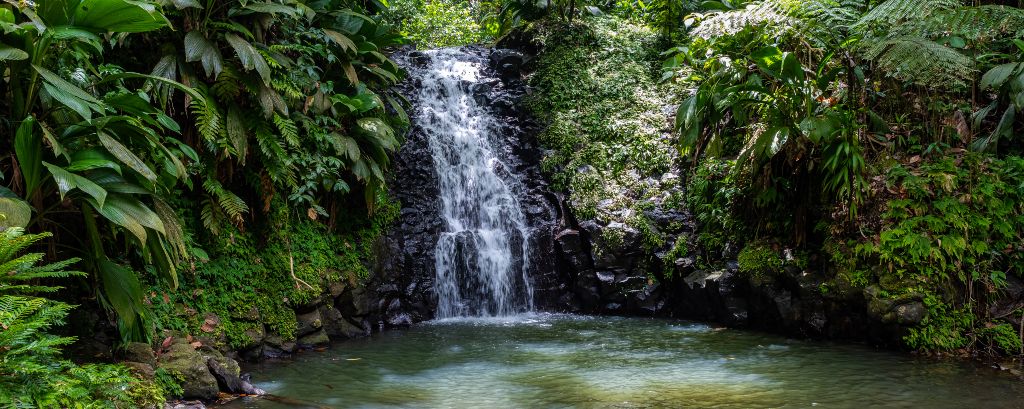 Parc National de Guadeloupe