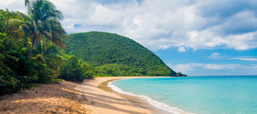 plage Grande Anse à Deshaies 