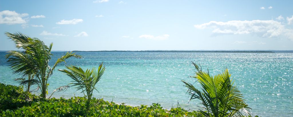 Vue Mangrove Îlet Caret Guadeloupe