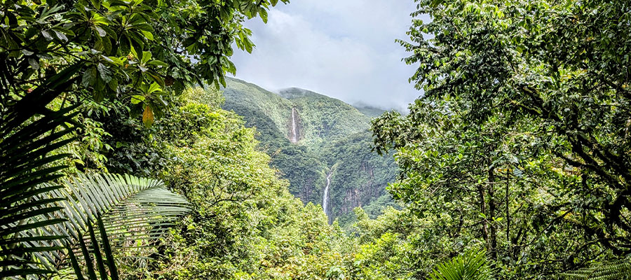 2-chutes-du-carbet