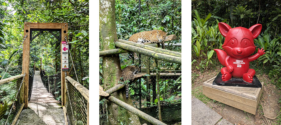 parc-des-mamelles-zoo