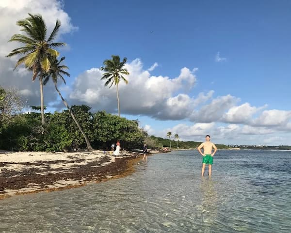 Sargasses Guadeloupe - Plages de Grande-Terre