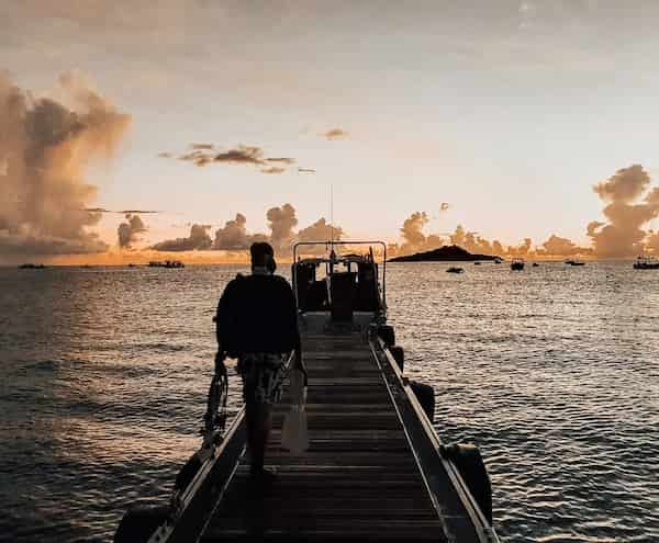 Plongée de nuit dans la réserve Cousteau à Malendure - Guadeloupe
