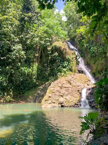 Bras du Fort - Cascade guadeloupe