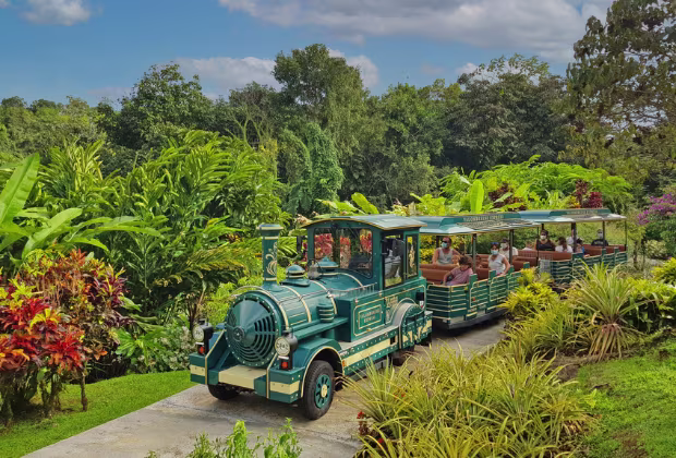 Jardin de Valombreuse petit bourg guadeloupe