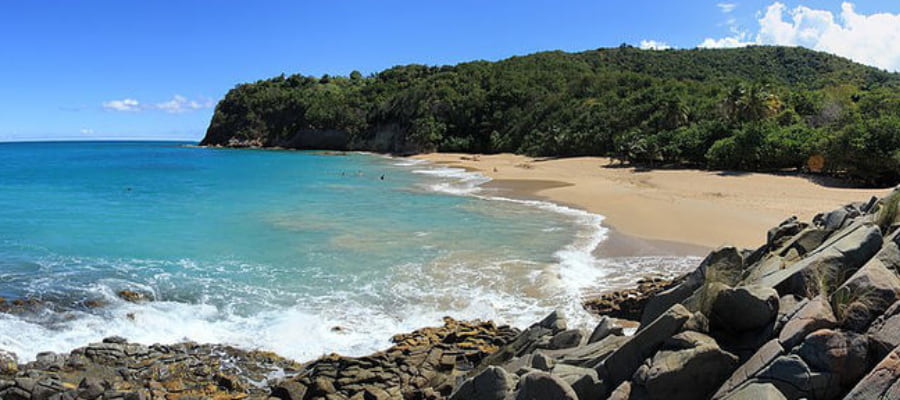 Plage de l’Anse Tillet à Deshaies